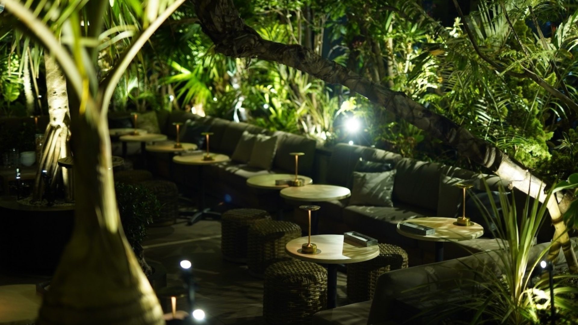 Photo: Interior view of the restaurant